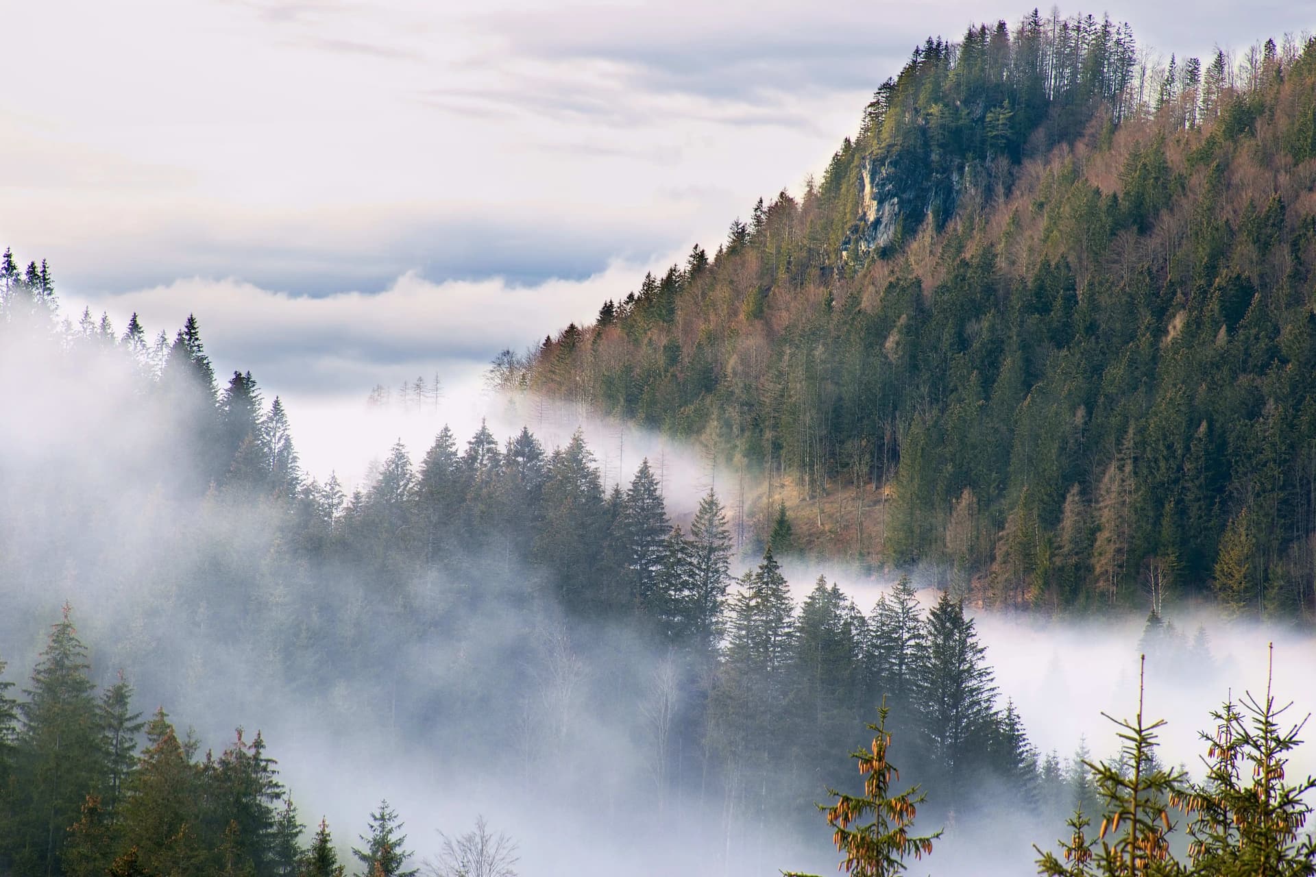 Places to Visit in November