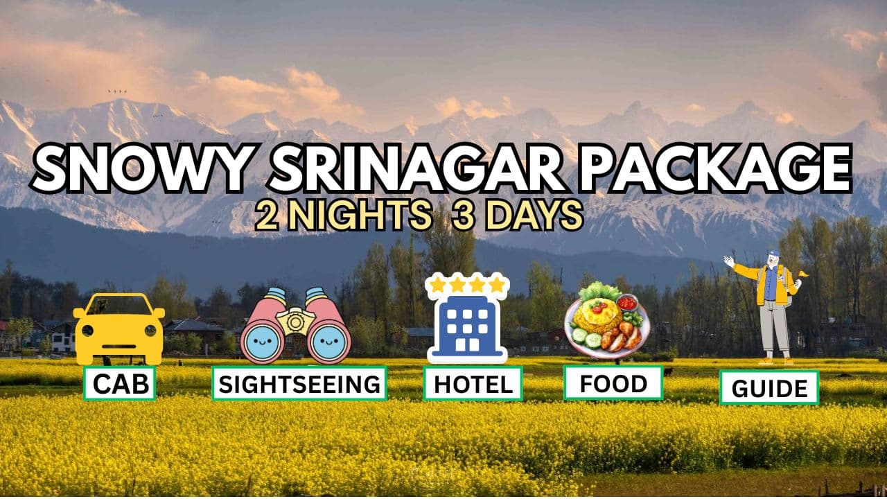 Snowy Srinagar Package
