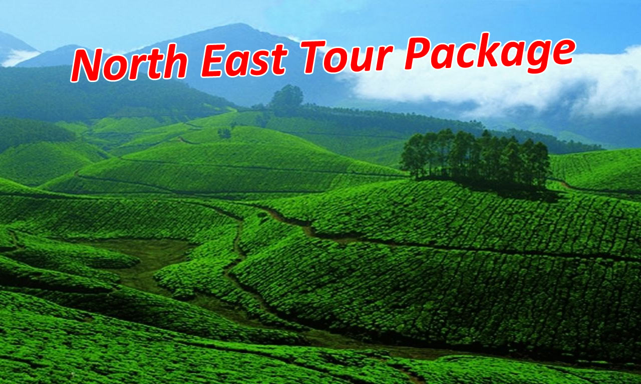 tour package north east
